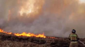 Пострадавшим от пожара в тюменском селе Салаирке окажут помощь