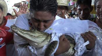 Мэр мексиканского города сыграл свадьбу с крокодилом