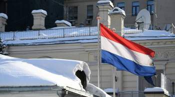 СМИ: и.о. главы Минобороны Нидерландов подала в отставку
