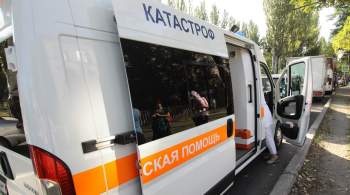 Житель Донецка подорвался на украинской мине  Лепесток 