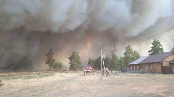 В Челябинской области из-за лесного пожара погиб человек