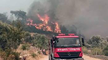 В Турции пожарные пытаются потушить пожар вблизи аэропорта Даламан 