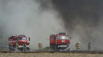 В Костромской области ликвидировали крупный торфяной пожар
