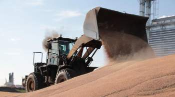 Аграрии Кузбасса собрали уже более миллиона тонн зерна