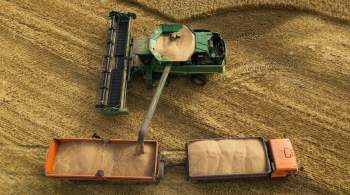В ООН заявили об инициативе по облегчению экспорта российского зерна