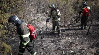 В России за сутки потушили 18 природных пожаров 