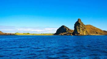 На Галапагосских островах обрушилась знаменитая скала Арка Дарвина