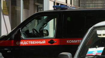 В Костроме нашли убитой пропавшую пятилетнюю девочку