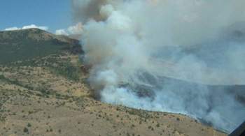 В МЧС Армении заявили о пожаре на  границе с Азербайджаном