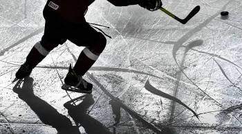 В Чехии представили свою версию инцидента со снятием хоккеистов в Канаде