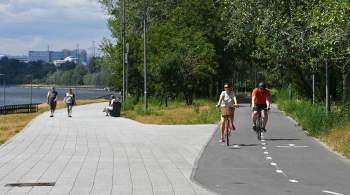 Крупнейшие парки Москвы соединят велодорожками