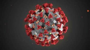 В Чехии выявили первое заражение  лямбда -штаммом коронавируса