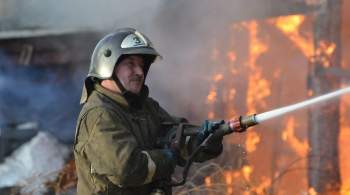 Власти Красноярского края запросили помощь в тушении пожаров