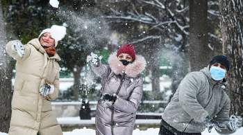 На обучение судей для игры в снежки выделили 700 тысяч рублей