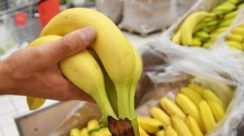 Диетолог рассказала, кому опасно есть бананы
