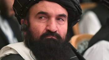 Талибы пообещали обеспечить безопасность туркмено-афганской границы