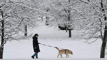 Синоптик предупредил москвичей о сильном снегопаде утром