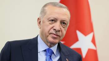 Эрдоган обсудит с генсеком НАТО зерновую сделку, сообщил источник 