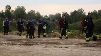 Населенные пункты на границе пожара под Рязанью удалось отстоять