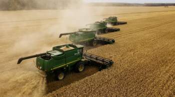 Глава Минтранса Латвии призвал запретить импорт и транзит российского зерна 