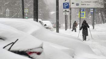 Синоптики предупредили о сильном снегопаде в Москве