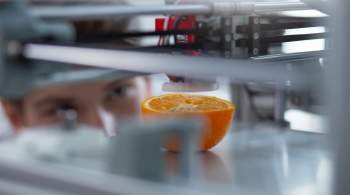 В России создали технологию 3D-печати еды из выращенных клеток