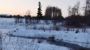 В Тверской области девочка упала в реку и утонула 