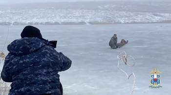В Ростовской области полицейские спасли провалившуюся под лед девочку 