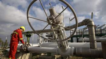 Россия и Турция планируют учредить рабочую группу по газовому хабу 