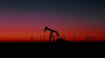 Аналитик спрогнозировал стоимость барреля нефти после решения ОПЕК+
