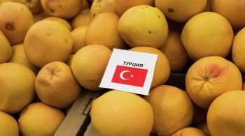 В Турции ответили на сообщения о приостановке экспорта в Россию мандаринов