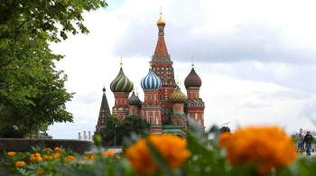 Полиция изучает видео с девушкой, оголившей грудь на фоне храма в Москве