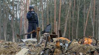 Сенаторы оценили планы Чехии получить компенсацию за взрывы во Врбетице
