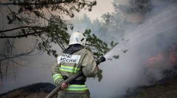 Правительство выделило допсредства на борьбу с лесными пожарами