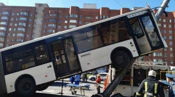 В Петербурге автобус врезался в столб и встал на дыбы