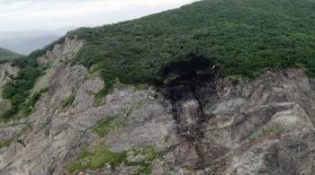 Спасатели нашли тела 19 погибших при крушении Ан-26 на Камчатке