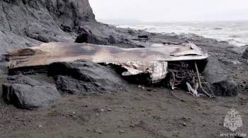 Спасатели нашли еще четыре тела на месте крушения Ан-26 на Камчатке