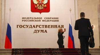 В России могут принять закон о полном запрете суррогатного материнства