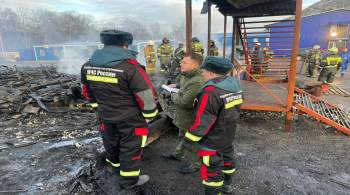 Власти Севастополя подтвердили данные о семи погибших при пожаре в бытовках