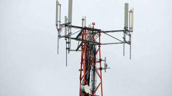 В Псковской области украли вышку сотовой связи весом около 2,5 тонны