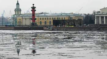 В Петербурге могут ввести дополнительные ограничения из-за коронавируса