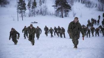 В Норвегии начали копать могилы из-за происходящего на Украине 