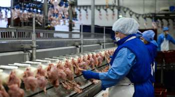 Россия наращивает производство мяса птицы, заявил Минсельхоз 