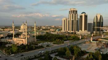 В Чечне прокомментировали инцидент в кризисном центре в Дагестане