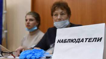 В Москве началось обучение наблюдателей за сентябрьскими выборами