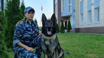 Полицейская собака помогла задержать насильника в Петербурге
