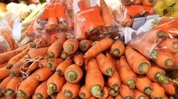В России подешевела морковь