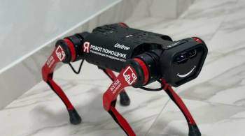 Робот-собака поможет выявлять самострои в Москве