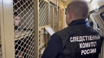 В Петербурге главарю банды треш-блогеров Мамедову продлили арест 