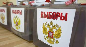 Депутат обвинил Запад в запуске программы по делегитимации выборов в России